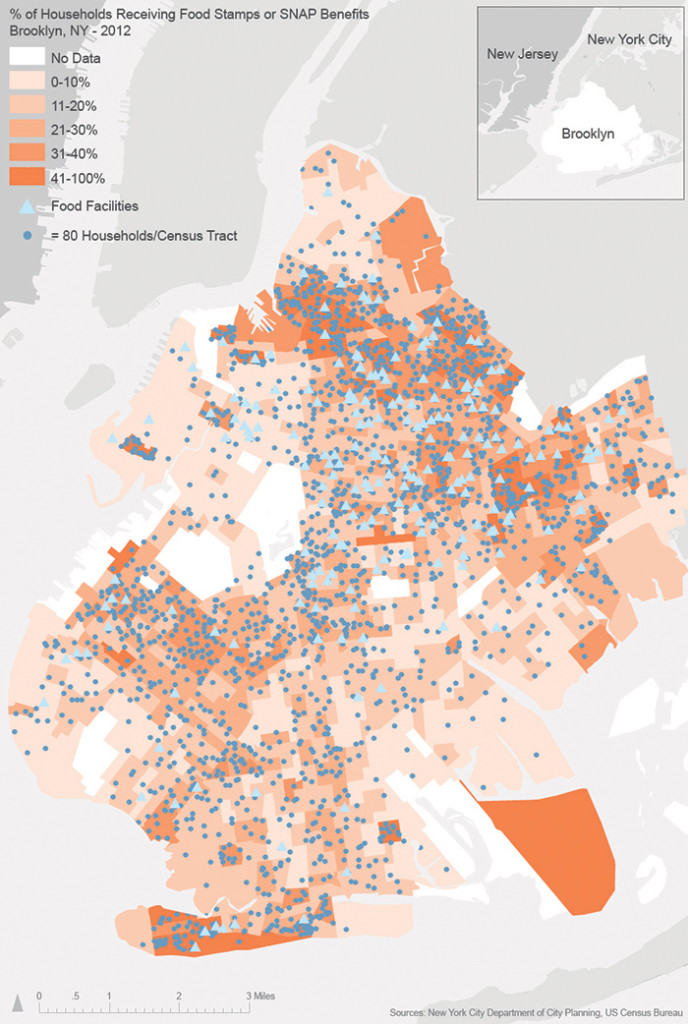 Analysis of Brooklyn households receiving food stamps